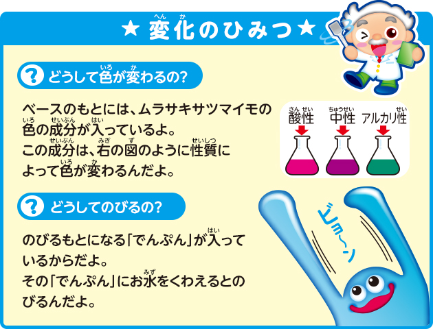 ★変化のひみつ★
            [どうして色がかわるの？]
            ベースのもとには、ムラサキサツマイモの
            色のせいぶんが入っているよ。
            このせいぶんは、右の図のようにせいしつ
            によって色がかわるんだよ。
            [どうしてのびるの？]
            のびるもとになるでんぷんが入ってい
            るからだよ。
            そのでんぷんにお水をくわえるとのび
            るんだよ。
            