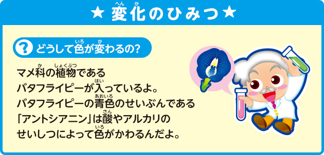 [変化のひみつ]・どうして色が変わるの？マメ科の植物であるバタフライピーが入っているよ。バタフライピーの青色のせいぶんである「アントシアニン」は酸やアルカリのせいしつによって色がかわるんだよ。